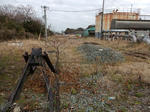 20210320j.JPG