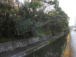 20210321c.JPG