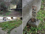 20210321e.JPG