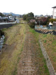 20210321i.JPG