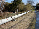 20210323i.JPG