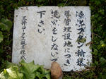 20210323j.JPG