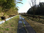 20210324a.JPG