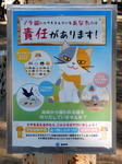 20210326i.JPG