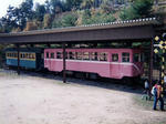 20210419j.JPG
