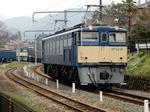 20210503e.JPG