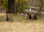 20210503f.JPG