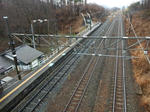 20210506h.JPG