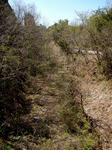 20210527i.JPG