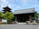 20210613e.JPG