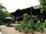 20210613g.JPG