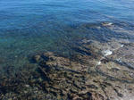 20210810b.JPG