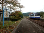 20211209f.JPG