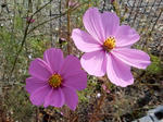 20211229g.JPG