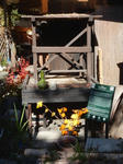 20220104c.JPG