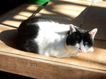 20220104f.JPG