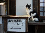 20220104i.JPG