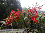 20220120i.JPG
