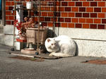 20220106f.JPG