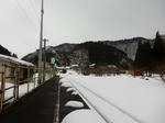 20220203e.JPG