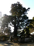 20220311c.JPG