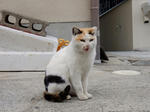 20220331i.JPG