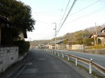 20220406f.JPG