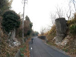 20220407c.JPG