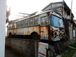 20220407f.JPG