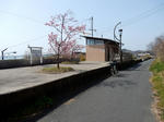 20220415c.JPG