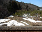 20220423e.JPG