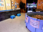 20220429d.JPG