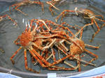20220429f.JPG