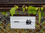 20220712e.JPG