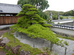 20220716i.JPG