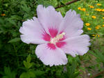20220917e.JPG