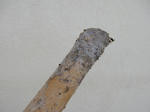 20220915e.JPG