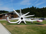 20221025d.JPG