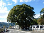20221220a.JPG