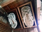 20230327a.JPG