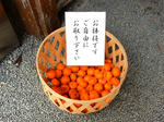 20230330g.JPG