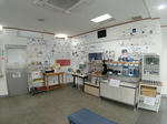 20230411e.JPG