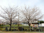 20230425i.JPG