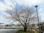20230428b.JPG