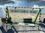20230504i.JPG