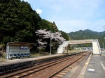 20230508f.JPG