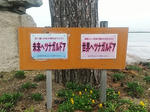 20230512d.JPG