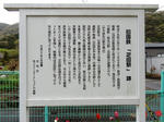 20230515i.JPG