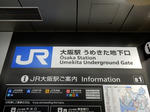 20230518a.JPG