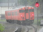 20230811j.JPG